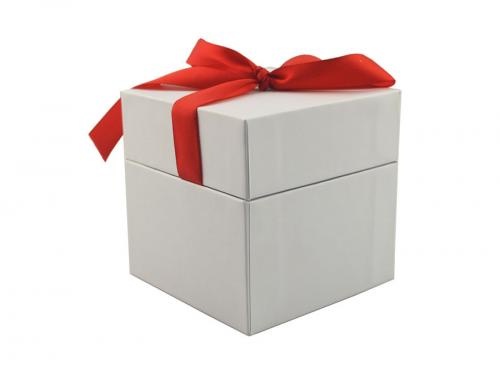 White Rectangular Gift Box With Red Bow